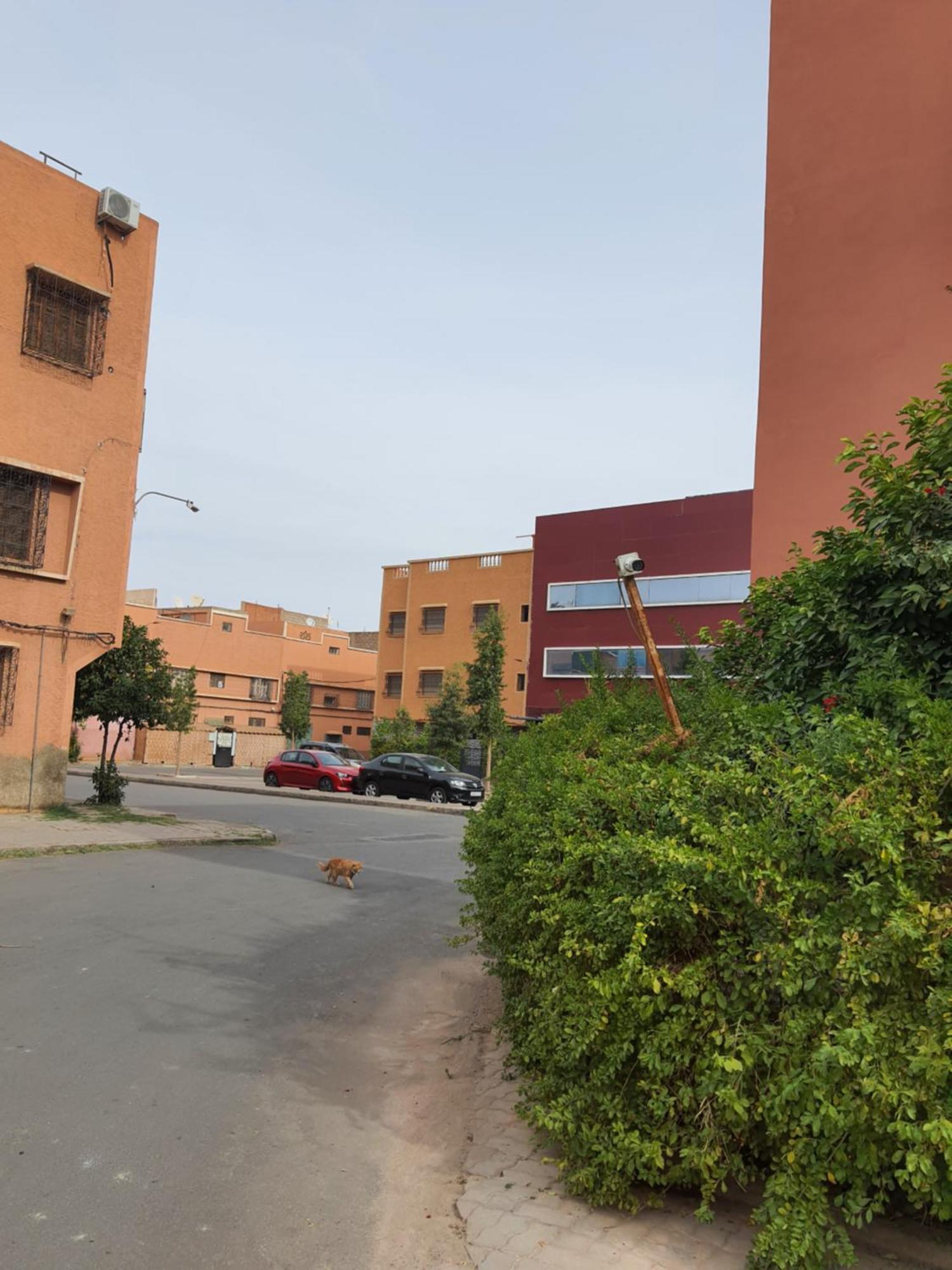 Marrakech Apartment มาร์ราเกช ภายนอก รูปภาพ