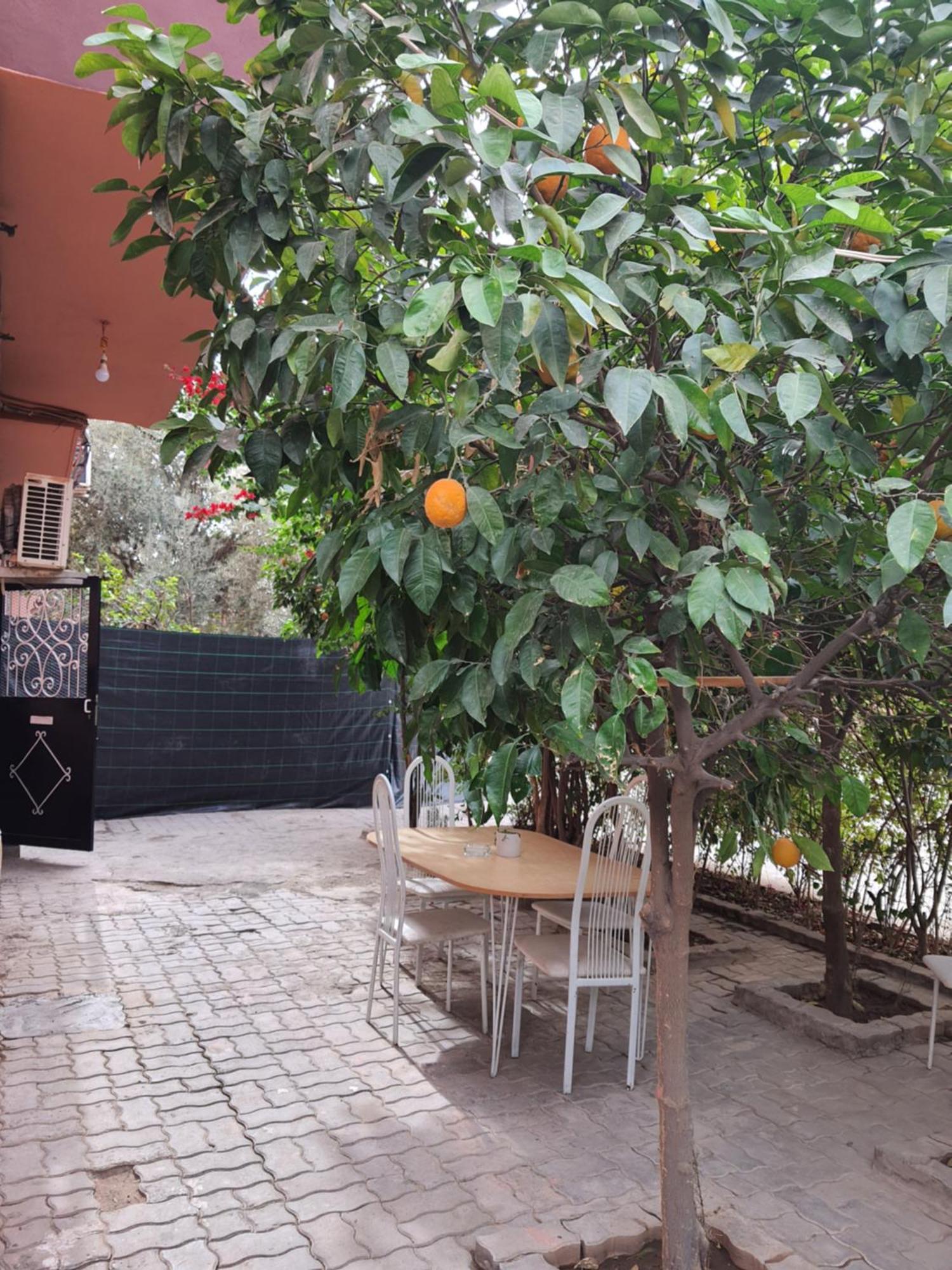Marrakech Apartment มาร์ราเกช ภายนอก รูปภาพ